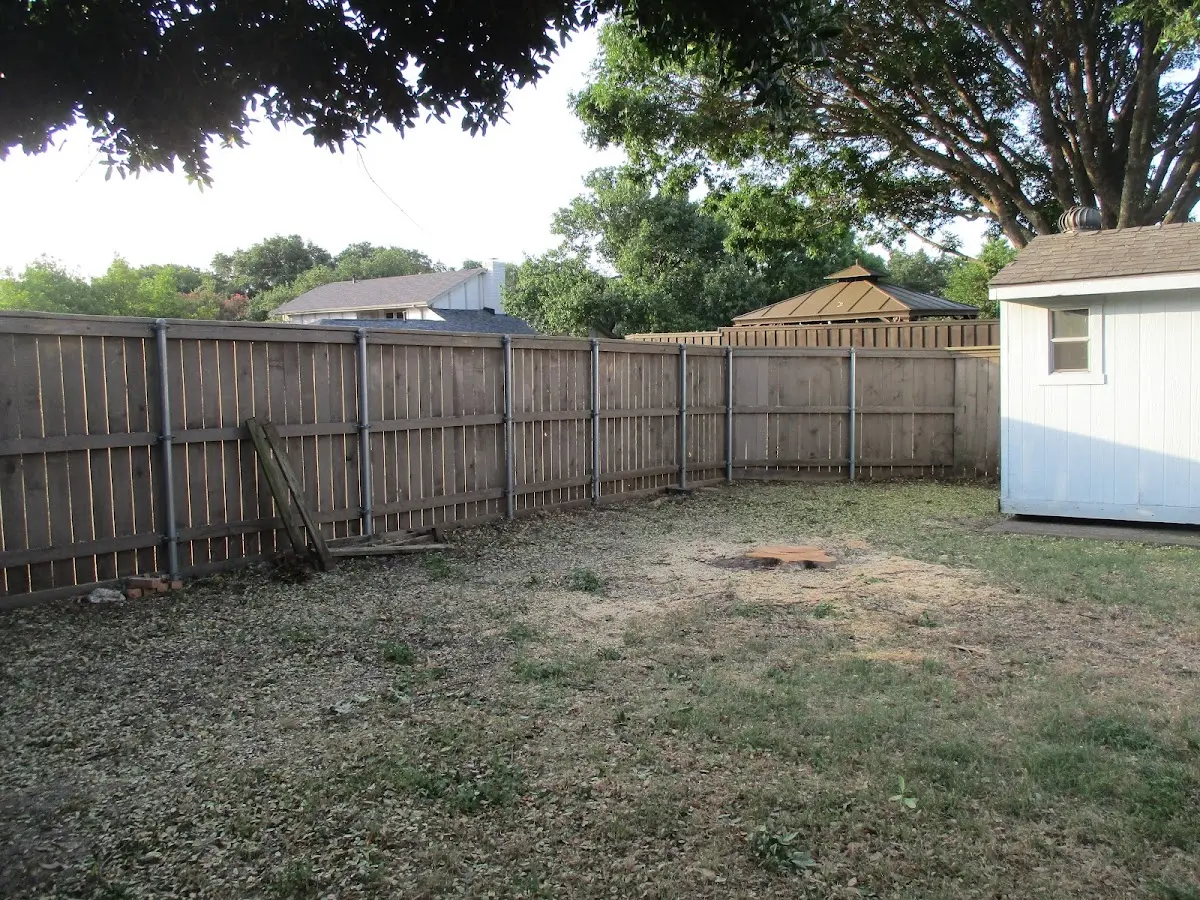 Cleared yard after professional tree removal in Brave